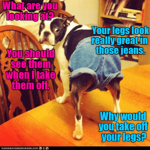 Men are clueless at times - I Has A Hotdog - Dog Pictures - Funny ...