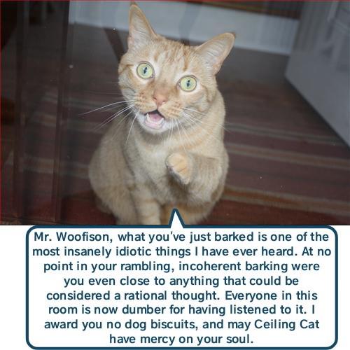 Doggy Woofison - Lolcats - lol | cat memes | funny cats | funny cat ...