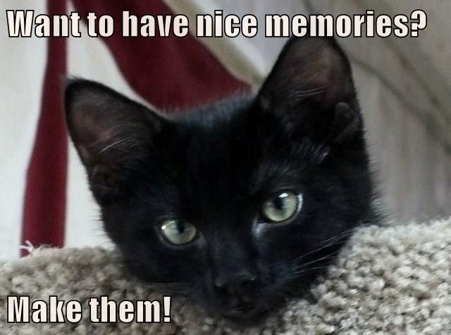 Make Them! - Lolcats - Lol 