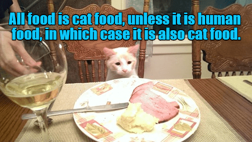 All food is cat food, unless... - Lolcats - lol | cat memes | funny ...