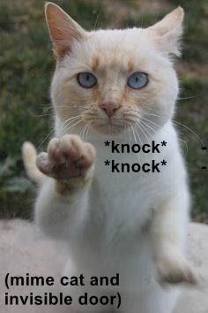 Knock & Nock  CAT @ Wordpandit