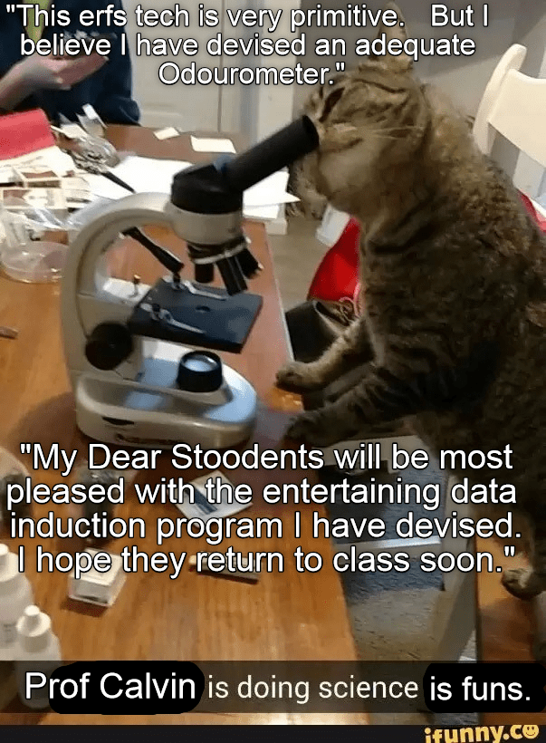 Sciencs Is Funs at KKPS. Moar funs when klass is in! - Lolcats - lol ...