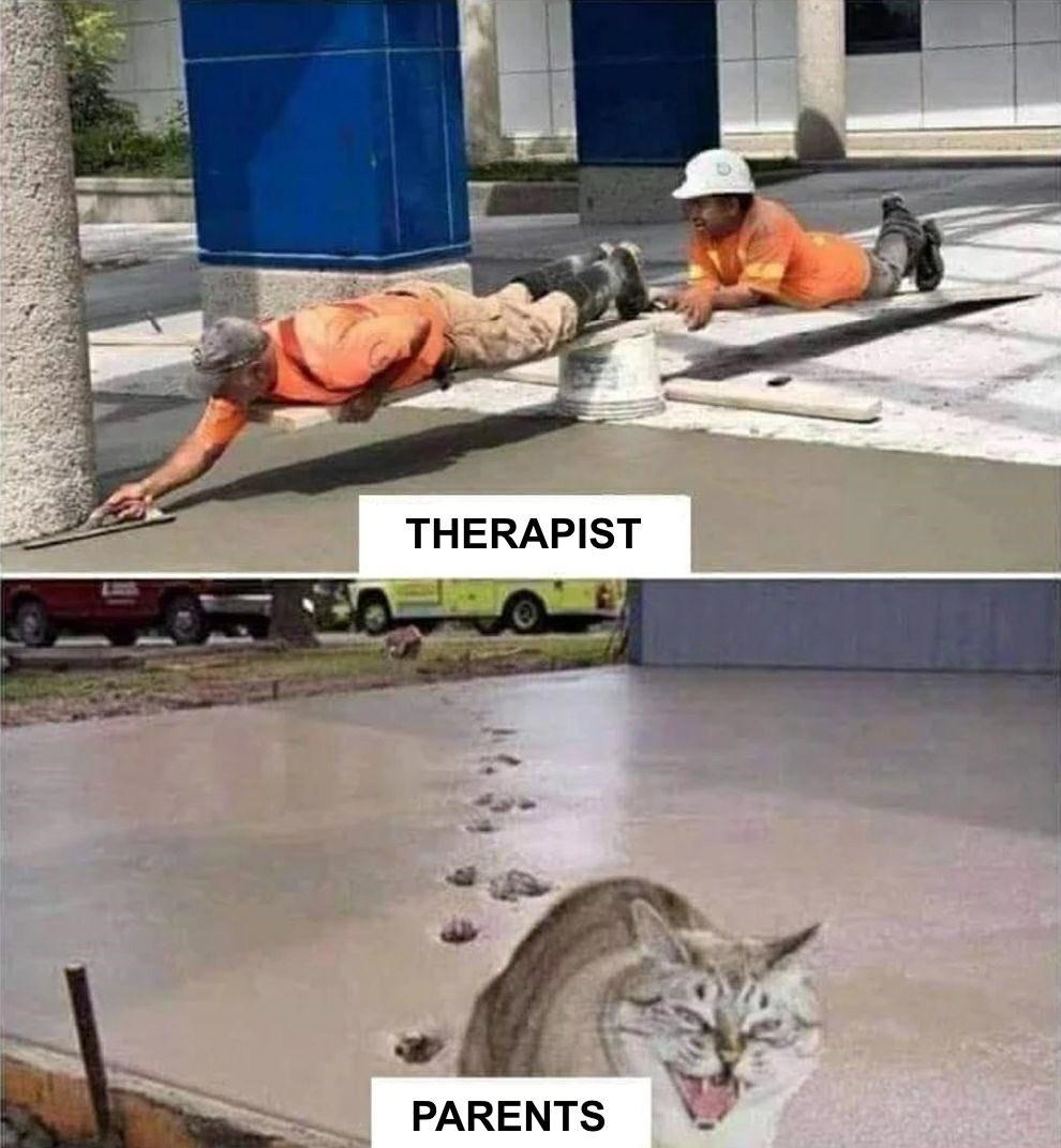 I Can Has Cheezburger? cement Funny Animals Online Cheezburger