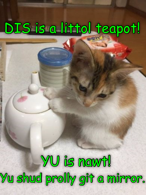 I'm a little teapot short and stout..... Lolcats lol cat memes