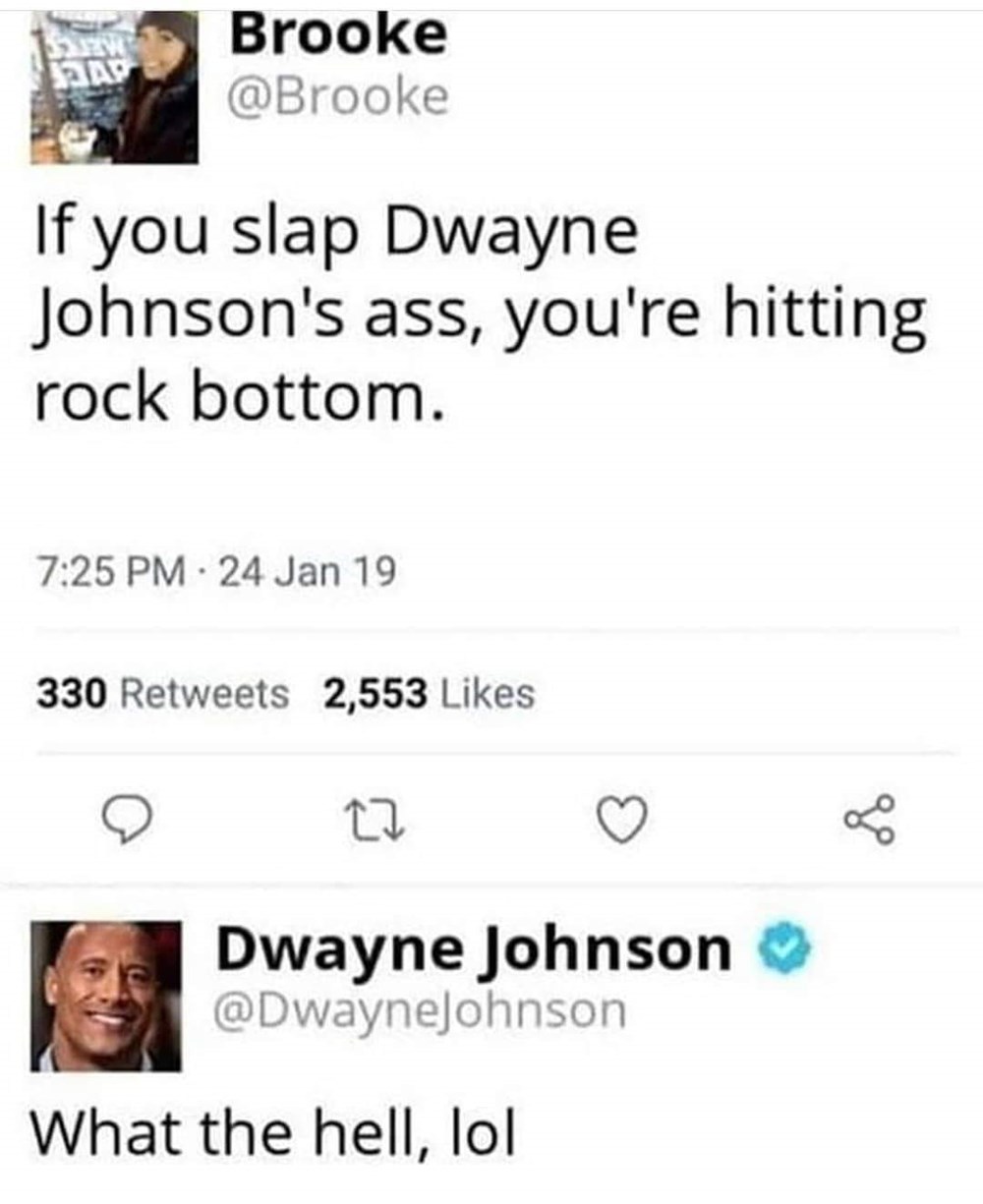 Dwayne Johnson Meme  Rock puns, The rock dwayne johnson, Dwayne johnson  meme