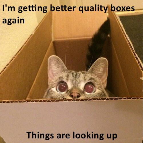 Things are looking up - Lolcats - lol | cat memes | funny cats | funny ...