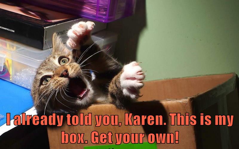 I already told you, Karen! - Lolcats - lol | cat memes | funny cats ...