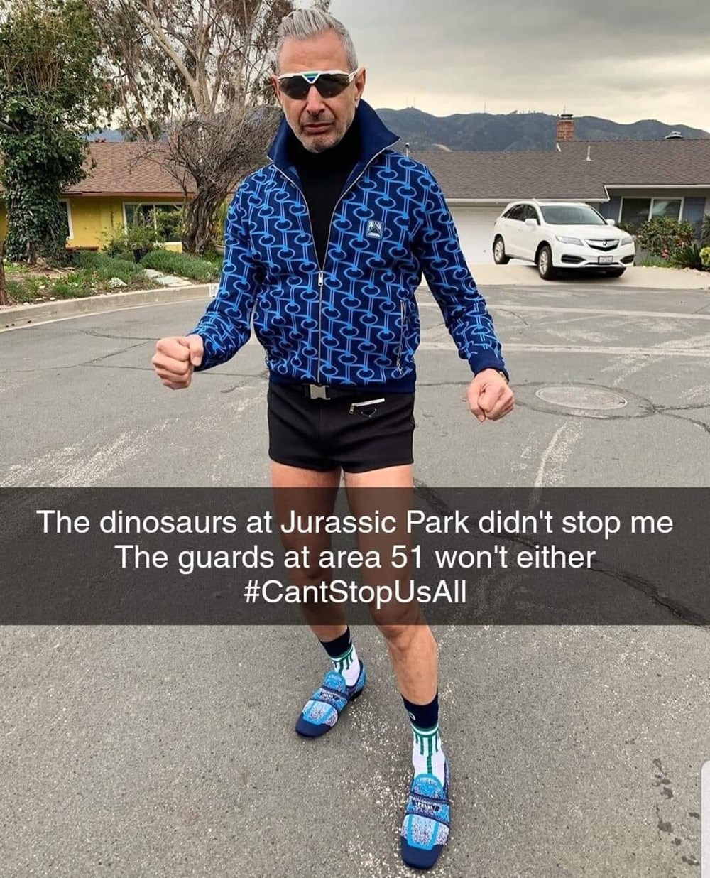Jeff Goldblum, Ladies And Gentlemen - Memebase - Funny Memes