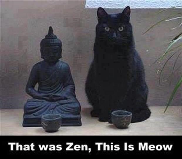 Cat God - I Can Has Cheezburger?