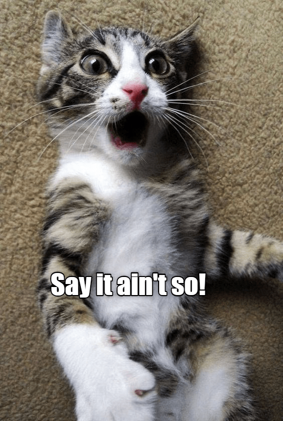 No Way Lolcats Lol Cat Memes Funny Cats Funny Cat Pictures With Words On Them Funny 