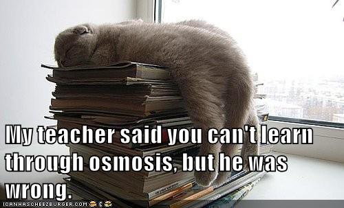 Osmosis - Lolcats - lol | cat memes | funny cats | funny cat pictures ...