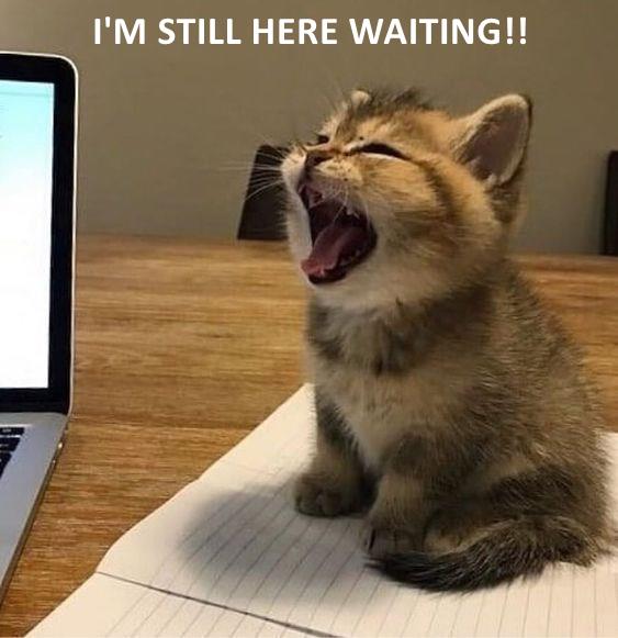 I'M STILL HERE WAITING!! - Lolcats - lol | cat memes | funny cats ...