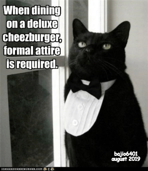 Lolcats - tuxedo - LOL at Funny Cat Memes - Funny cat pictures with ...