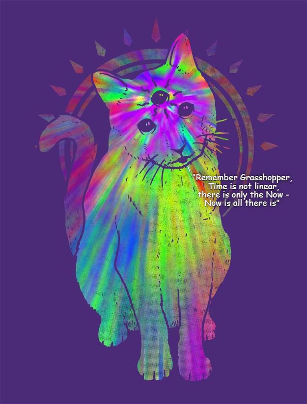 Lolcats - psychedelic - LOL at Funny Cat Memes - Funny cat pictures ...