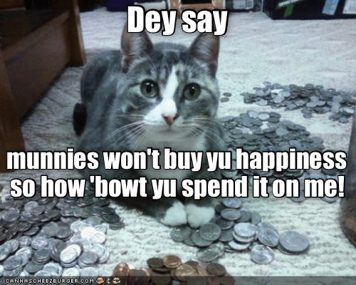 No shovel needed to be a gold digger. - Lolcats - lol, cat memes, funny  cats, funny cat pictures with words on them, funny pictures, lol cat  memes