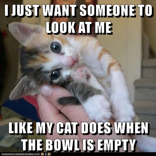 SOMEONE TO LOOK AT ME - Lolcats - lol | cat memes | funny cats | funny ...