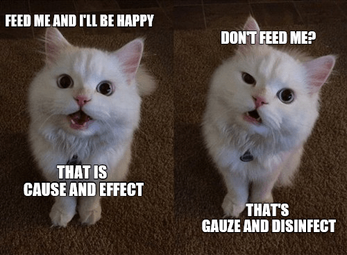Action, reaction or traction - Lolcats - lol | cat memes | funny cats ...