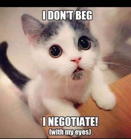 Image result for negotiate meme