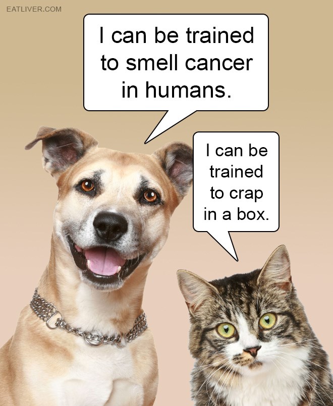 Humorous Memes Page 29 The Silver Screen Oasis