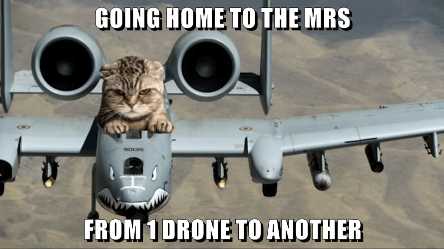 FROM 1 DRONE TO ANOTHER Lolcats lol cat memes funny cats