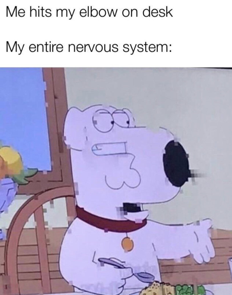 The 'Funny' Bone Is Not That Funny - Memebase - Funny Memes
