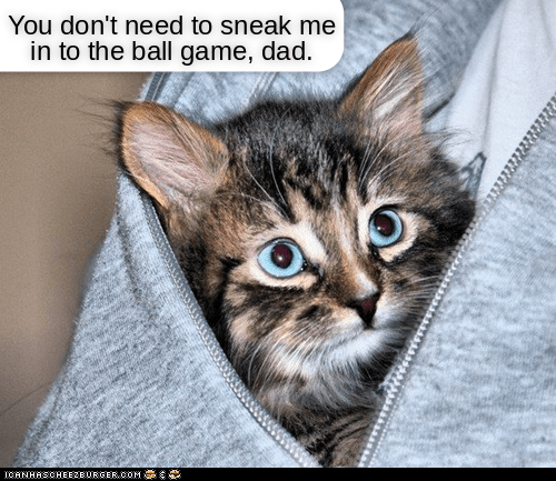 Kittehs don't need a ticket - Lolcats - lol | cat memes | funny cats ...