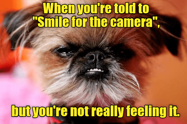 Smile! - I Has A Hotdog - Dog Pictures - Funny pictures of dogs - Dog ...