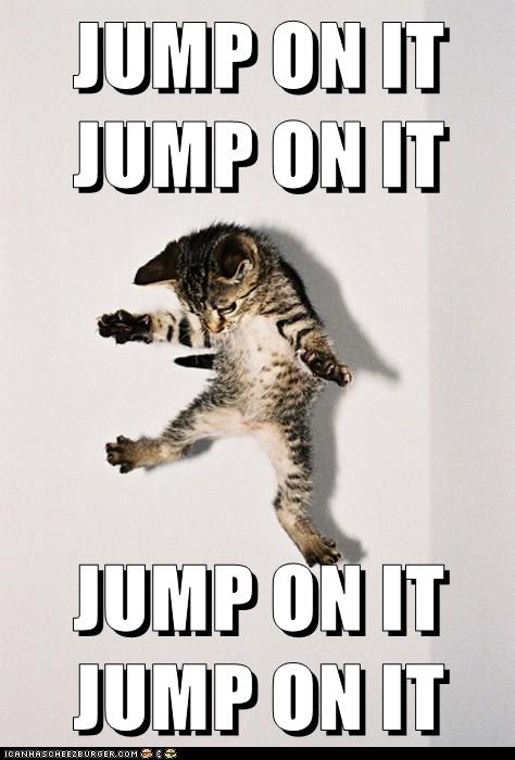 JUMP ON IT - Lolcats - lol | cat memes | funny cats | funny cat ...