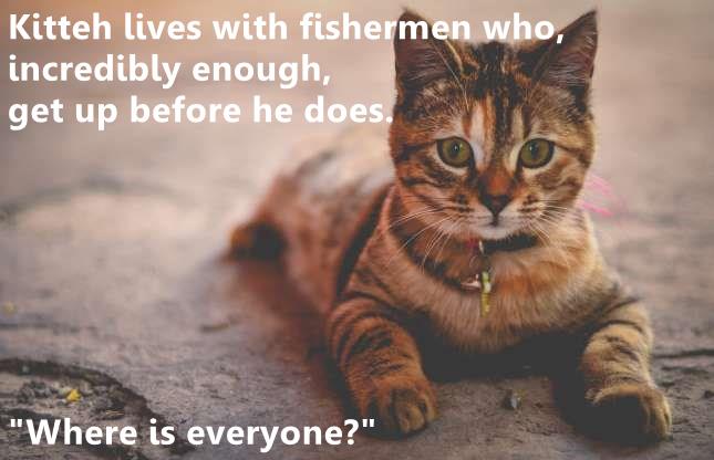 Kitteh lives with fishermen - Lolcats - lol | cat memes | funny cats ...