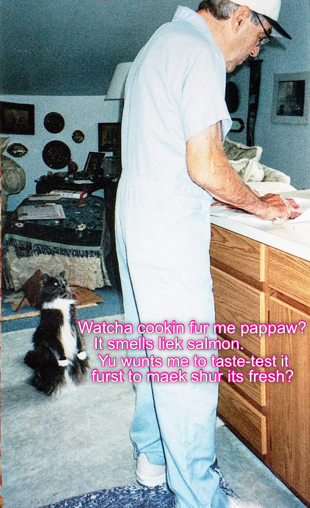 Kitty gets first dibs on the salmon! - Lolcats - lol | cat memes ...