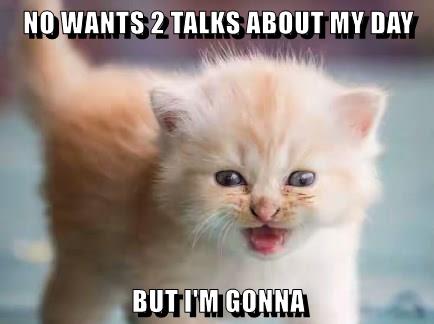 GONNA ANYWAY - Lolcats - lol | cat memes | funny cats | funny cat ...