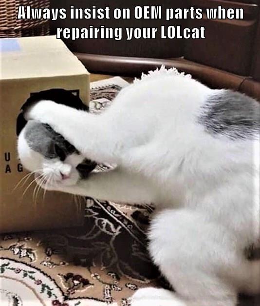 When repairing your LOLcat - Lolcats - lol | cat memes | funny cats ...