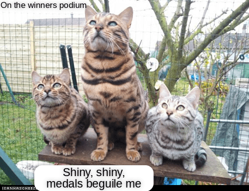 On The Winners Podium Lolcats Lol Cat Memes Funny Cats Funny Cat Pictures With Words On Them Funny Pictures Lol Cat Memes Lol Cats