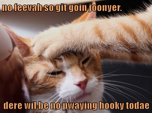 Feevah - Lolcats - lol | cat memes | funny cats | funny cat pictures ...