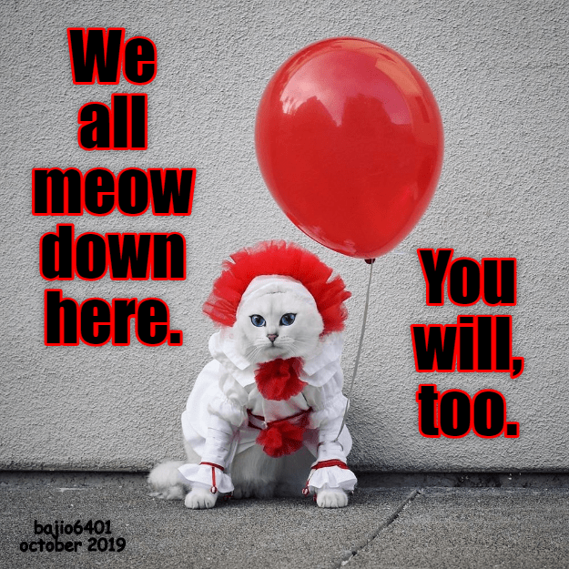 BEWARE OF PENNYWISE THE CAT - Lolcats - lol | cat memes | funny cats