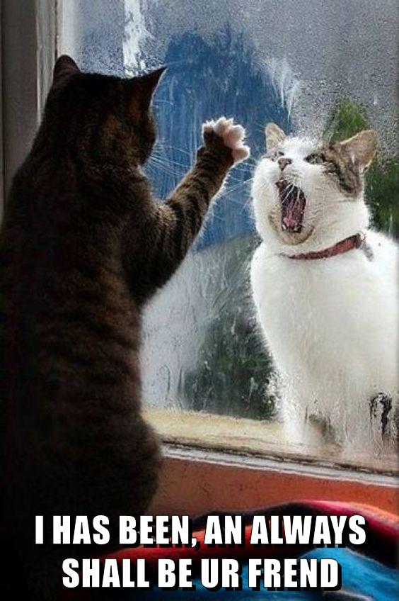 I HAS BEEN, AN ALWAYS SHALL BE UR FREND - Lolcats - lol | cat memes ...