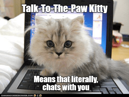 Talk To The Paw - Lolcats - lol | cat memes | funny cats | funny cat ...