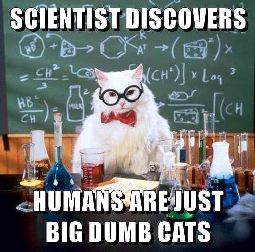 SCIENTIST DISCOVER - Lolcats - lol | cat memes | funny cats | funny cat ...