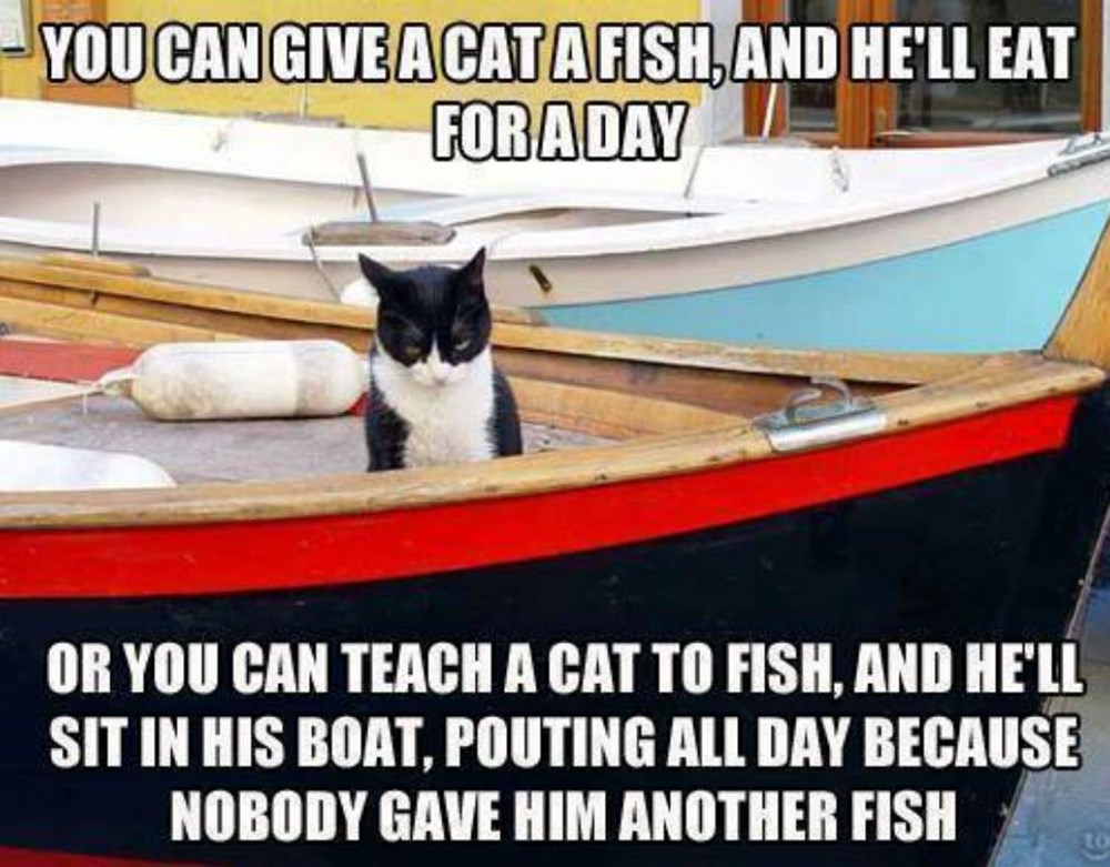 You Can Teach a Cat To Fish - Cat Meme Of The Decade - lol | cat memes ...