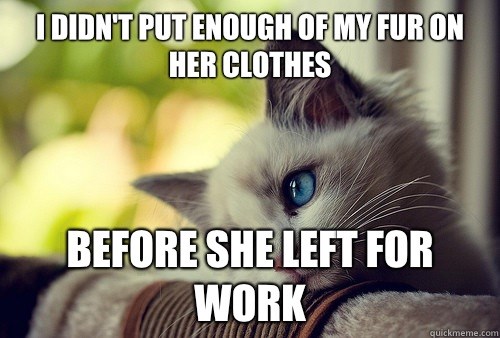 Don't Do It, Carl - Cat Meme Of The Decade - lol, cat memes, funny cats, funny cat pictures with words on them, funny pictures, lol cat memes