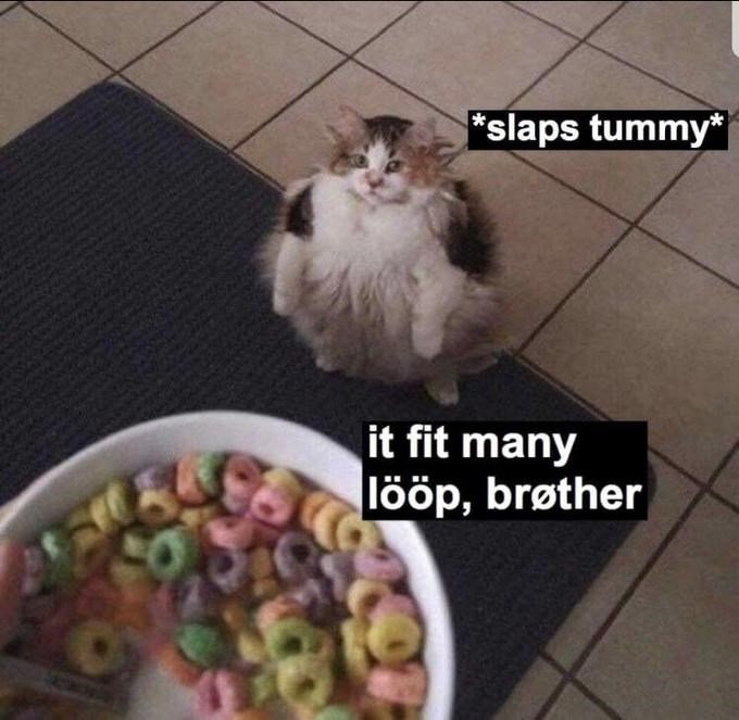 Can I Have Some Fruit Loops? - Cat Meme Of The Decade - lol | cat memes