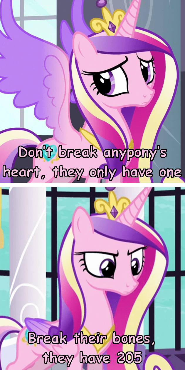 Advice from Love Horse - My Little Brony - my little pony, friendship ...