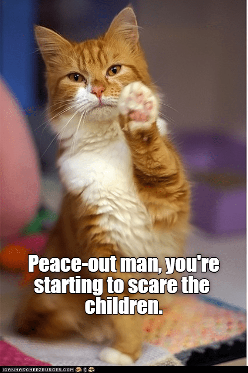 Peace out - Lolcats - lol | cat memes | funny cats | funny ...