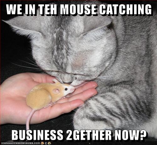 In This 2gether Now? - Lolcats - Lol 