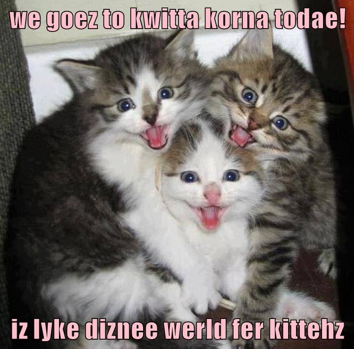 We Goez To Kwitta Korna Todae! - Lolcats - Lol 