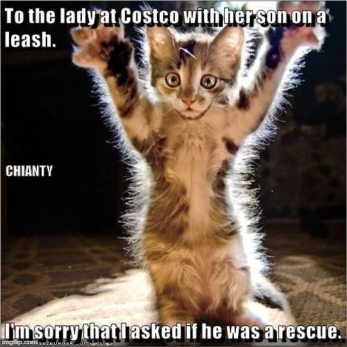 Sorry - Lolcats - lol | cat memes | funny cats | funny cat pictures ...