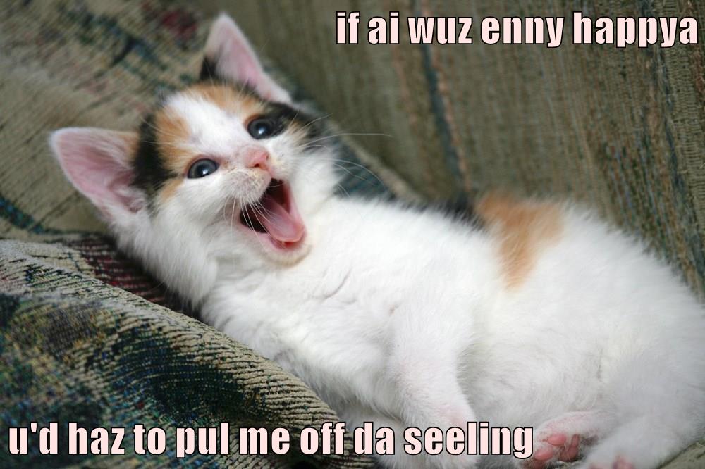 Happy! - Lolcats - lol | cat memes | funny cats | funny cat pictures ...