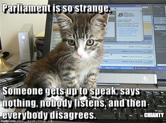 I disagree - Lolcats - lol | cat memes | funny cats | funny cat ...