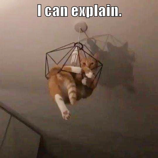 I can explain. - Lolcats - lol | cat memes | funny cats | funny cat ...