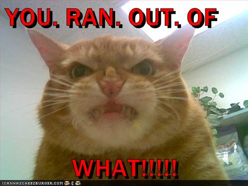 YOU. RAN. OUT. OF WHAT!!!!! - Lolcats - lol | cat memes | funny cats ...